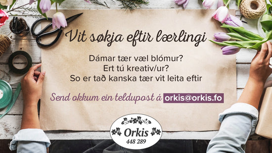 Lærlingur til Orkis