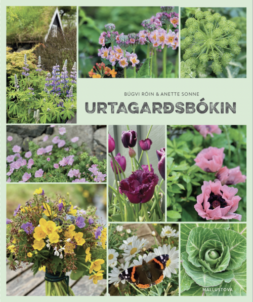 Urtagarðsbókin