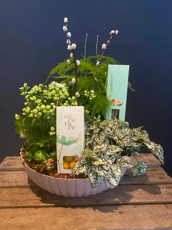 Ljós gávukurv við søtum