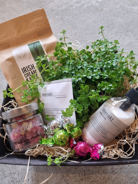 Gávukurv við Meraki vælveru og øðrum søtum