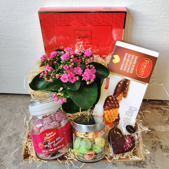 Bommkurvin -myndin er vegleiðandi