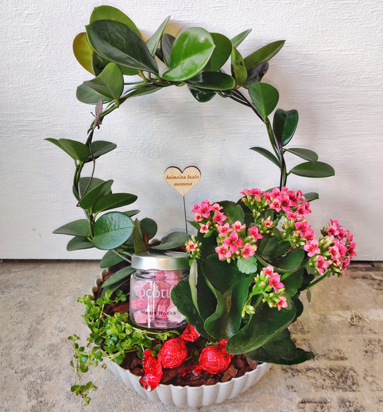 Flower Plants - Worlds greatest mom