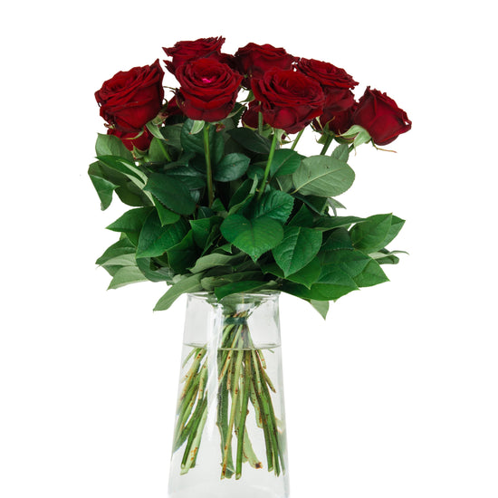 Reyðar rósur í tyssi