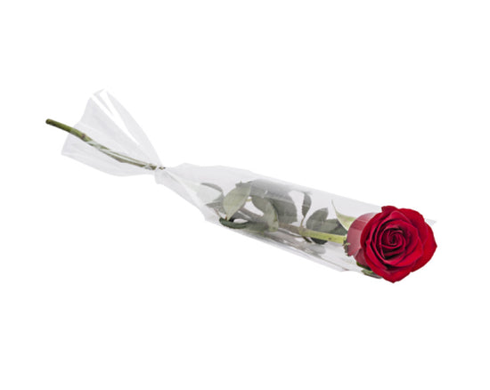 Red Rose Wrapped